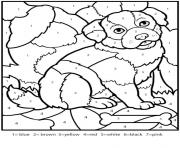 color by numbers adult worksheets dog