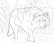 Printable crouching gray wolf coloring pages