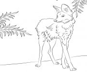 Printable maned wolfs coloring pages