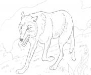 Printable realistic wolf running coloring pages