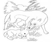 wolf mother and wolf cub