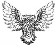advanced owl raw drawing