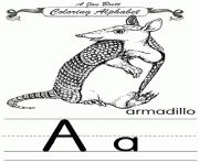 coloring alphabet traditional armadillo