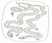 on noahs ark coloring mural pythons by jan brett