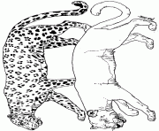 on noahs ark coloring mural leopard by jan brett