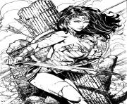 wonder woman for adult book
