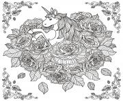unicorn adult by kchung
