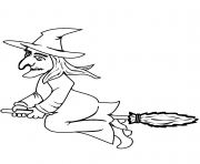 halloween witch on a broom halloween