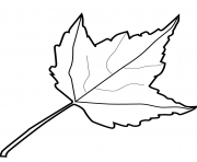 maple leaf fall