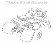 Bowser Mario Kart Nintendo