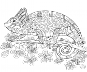 chameleon mandala