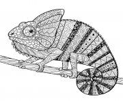 Printable mandala chameleon adult antistress coloring pages