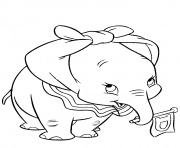 dumbo with ears knotted