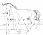 horse westphalian