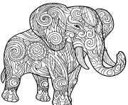 elephant for adult animals