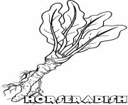 vegetable horseradish