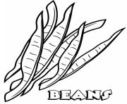 vegetable beans