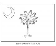 south carolina flag US State