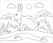 bunny animal simple
