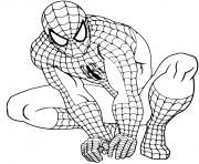 Spider Man Fictional Superhero