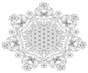 Complex Flower Rose Mandala