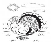 sunny turkey
