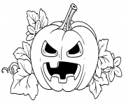 lantern from pumpkin with the cut out of a terrible grin and leaves outlined