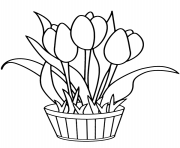 pot with tulips