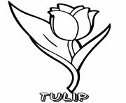 tulip flower printable