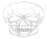 human skull by Lena London