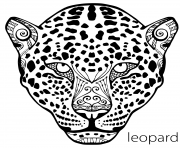 the black and white leopard face