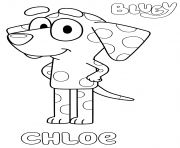 Dalmatian Chloe