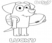 Labrador Lucky