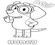 Beagle Honey Dog