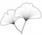 maidenhair leaf
