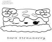 Sara strawberry Num Noms