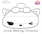 Wild Berry Freezie