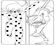 Pictures of Ladybug and Cat Noir