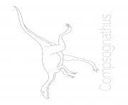 dinosaur compsognathus tracing picture