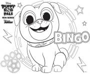 Bingo Puppy Dog Pals