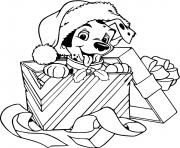 Puppy wearing Santa hat in gift box