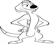 Timon from Lion Guard