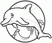 dolphin easy kindergarten