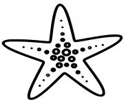 starfish forcipulatida