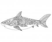 adult mandala shark