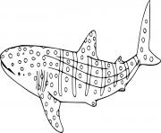 Easy Whale Shark