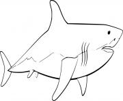 Simple Great White Shark