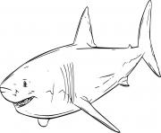 Swimming Great White Shark