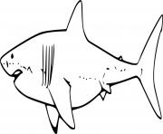 Very Easy White Shark