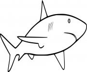 Very Simple Great White Shark